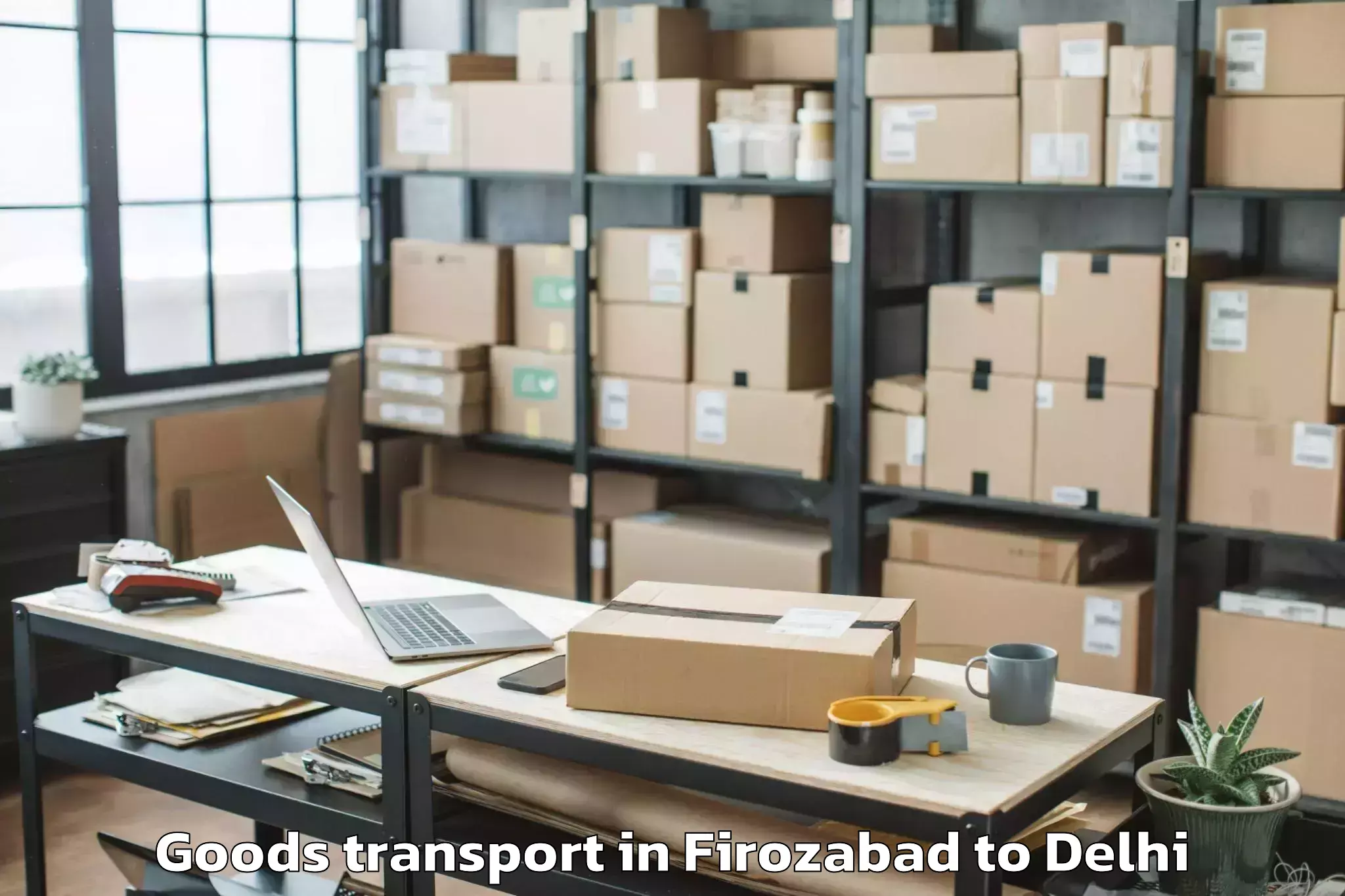 Expert Firozabad to Mgf Metropolitan Mall Delhi Goods Transport